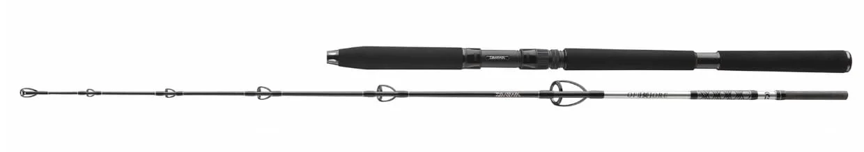 Daiwa BG Jigger 170cm 150-400g