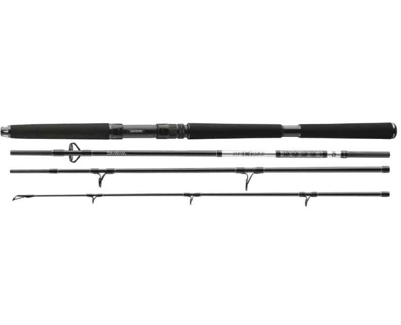 Daiwa BG Travel Boat 270cm 50-200g 4-teilig