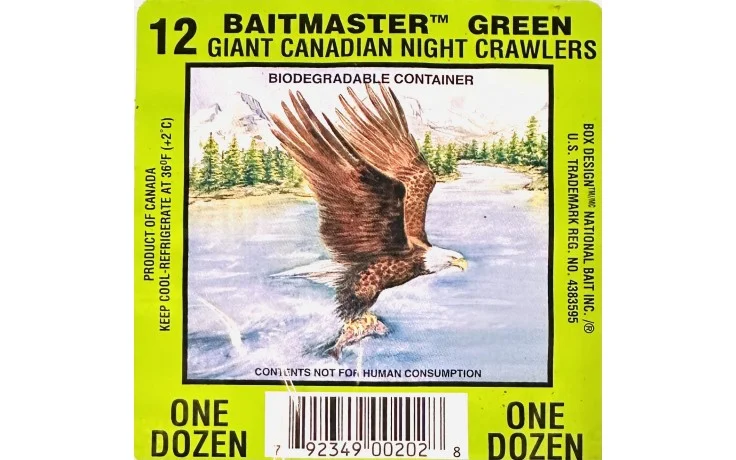 Kanadische Tauwürmer grün UV Angelwurm 10 Stück