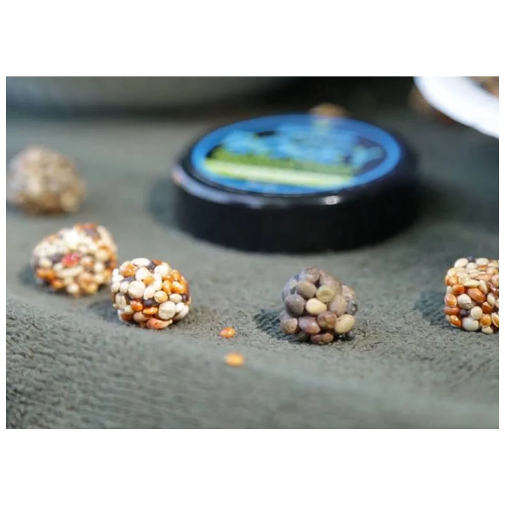 Kryston Bogey - The Revolutionary Particle Fixer