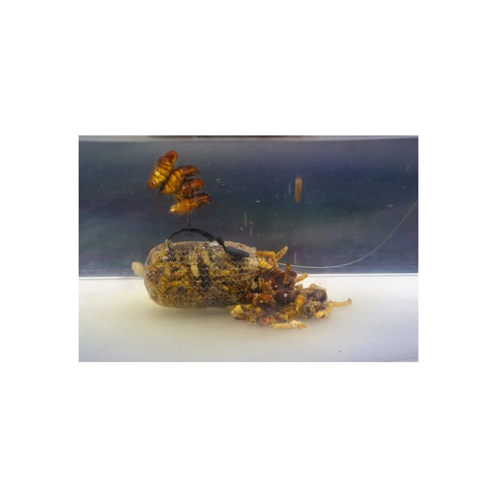 My Baits Destruction Insects