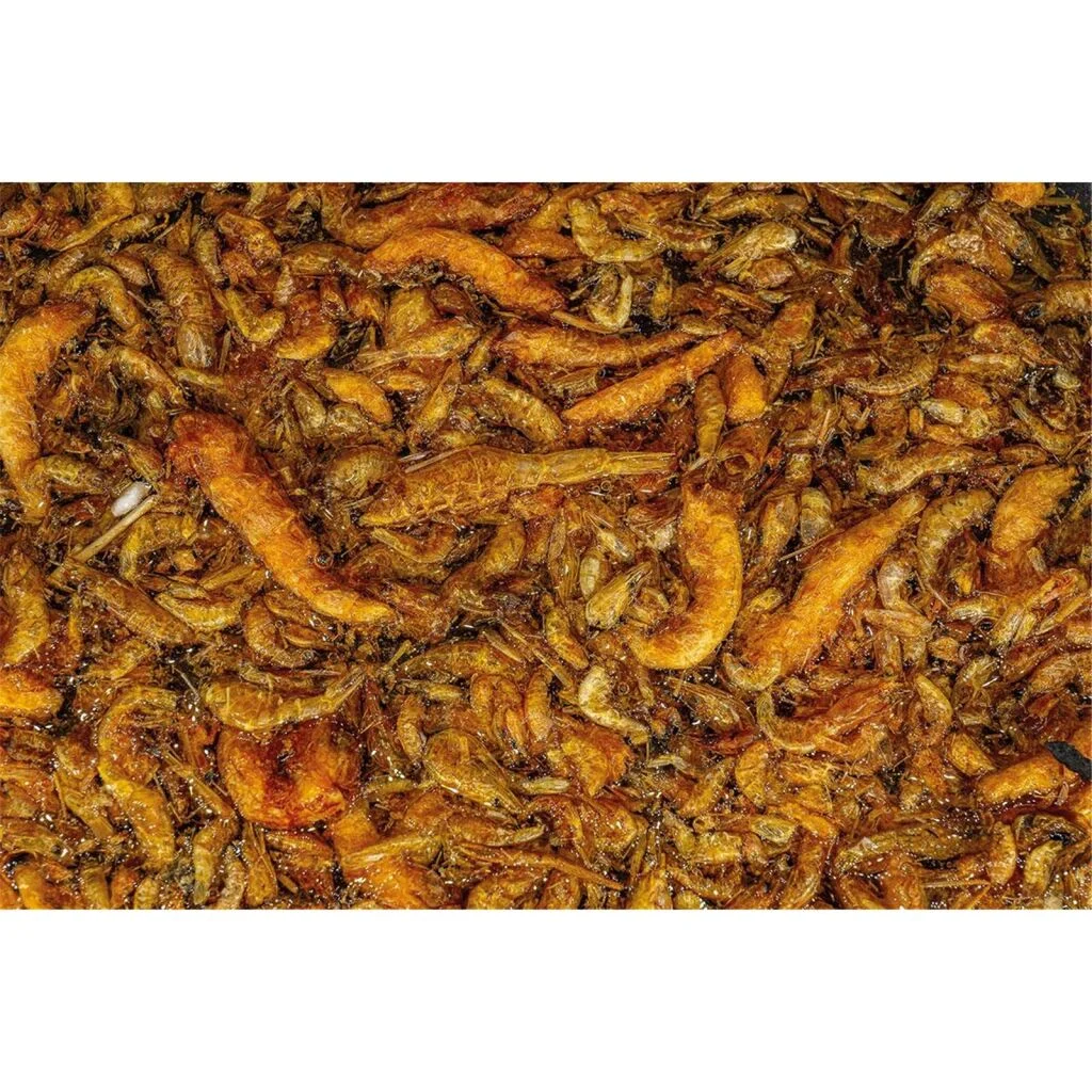 My Baits Destruction Seafood