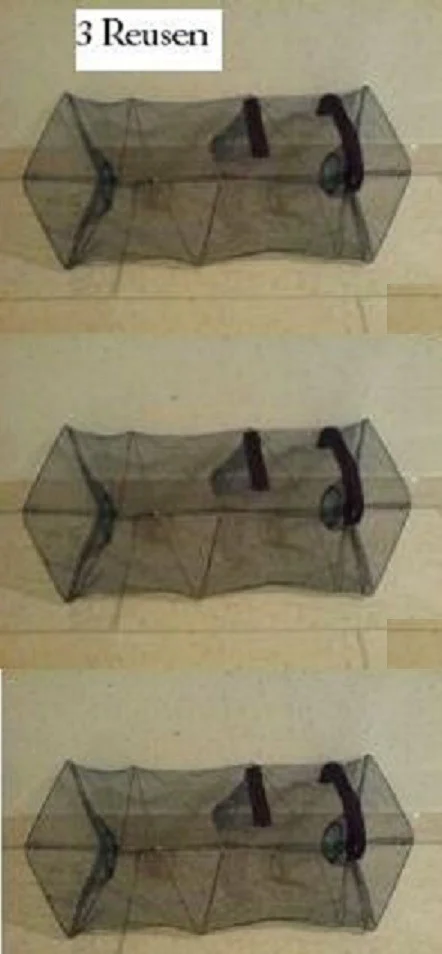 [Paket] 3 Reusen Aalreusen Krebsreusen Köderfischreusen Fischreusen 120x35x35cm