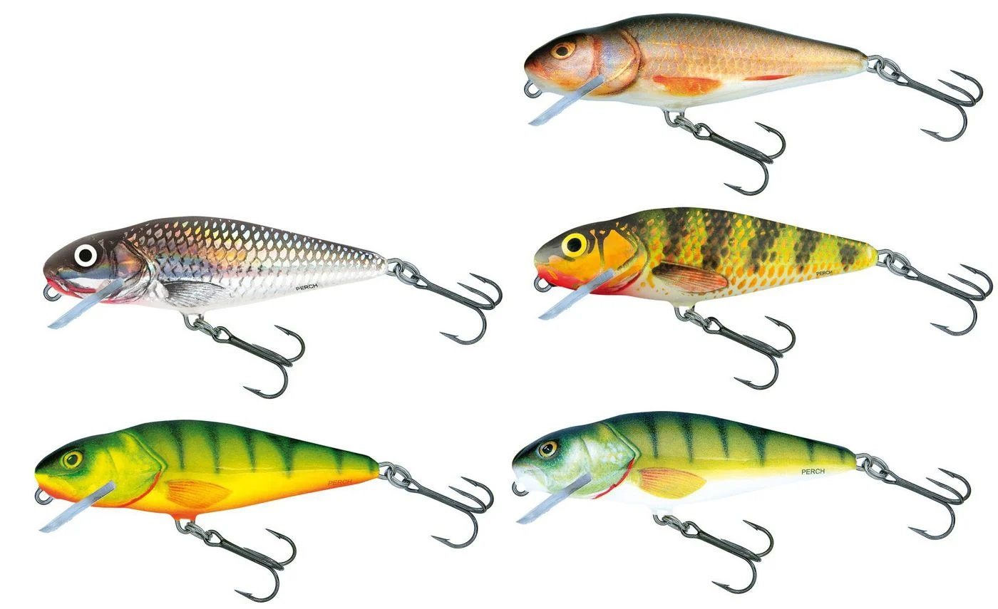 [Paket] 5 Salmo Perch Shallow Runner Wobbler 12cm 36g