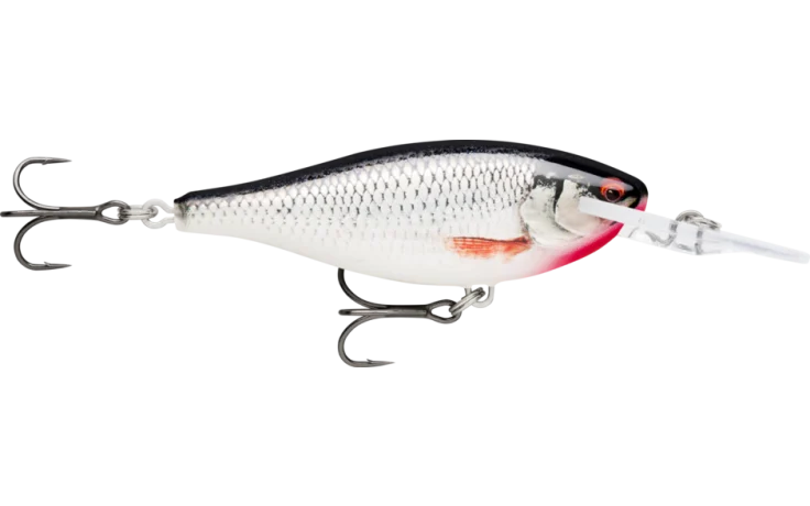 Rapala Shad Rap Elite 55 5,5 cm 7 Gramm 2,4 bis 2,7 Meter Tauchtiefe Farbe Gilded Night Aurora Angelköder Forellenköder Barschköder