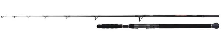 Shimano Beastmaster Catfish Vertical 185cm 200g Spinning