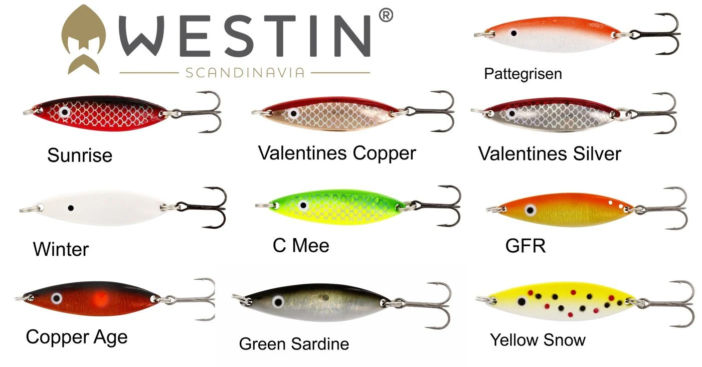 Westin Boss Forellenblinker 6cm - Meerforellenblinker 20g Valentines Copper