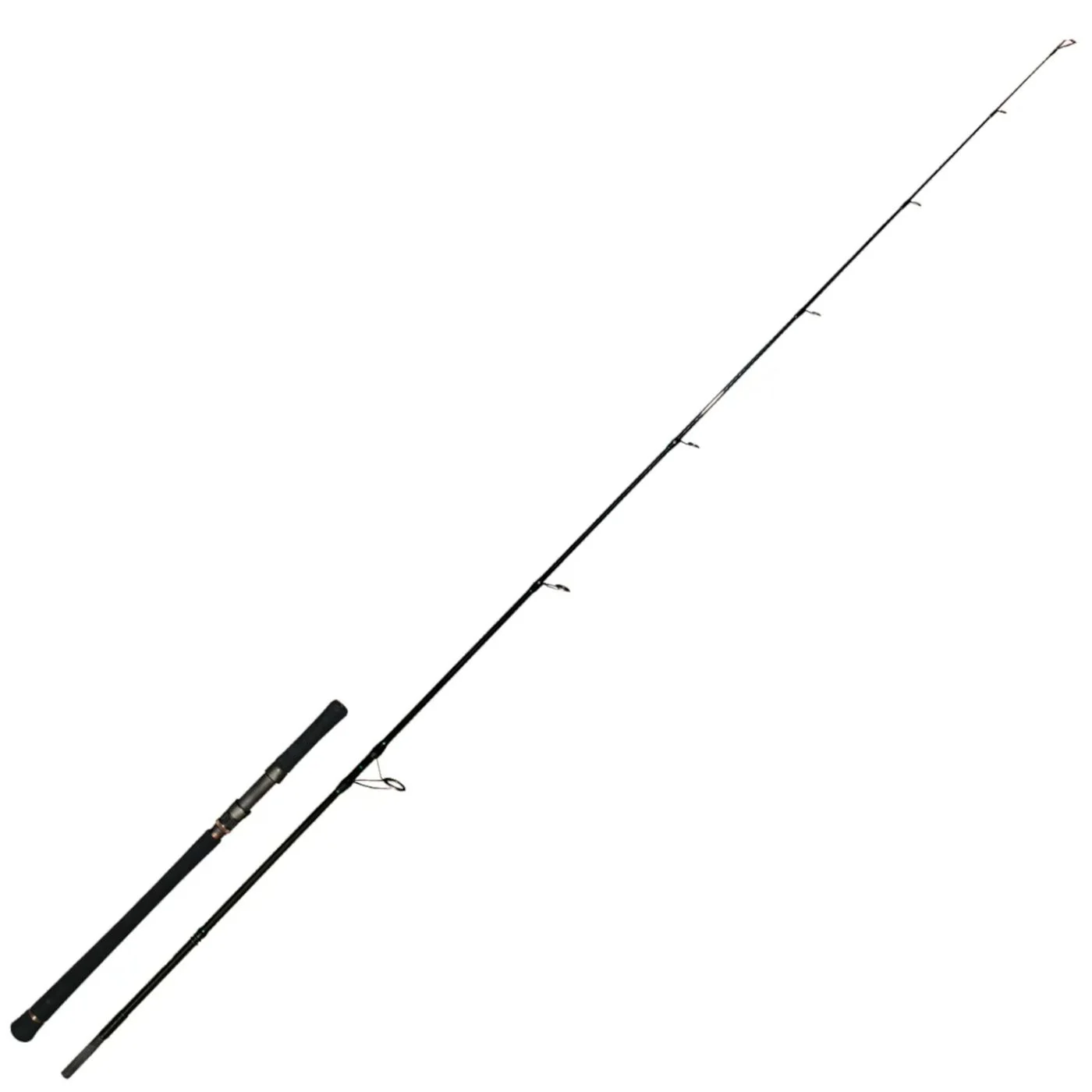 Zeck Evo Cat Spin 243cm 120g - Welsrute
